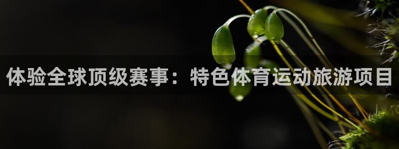 鲸鱼体育live：体验全球顶级赛事：特色体育运动旅游项目