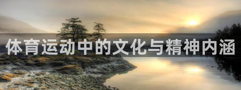 鲸鱼体育小何说个球蓝球：体育运动中的文化与精神内涵